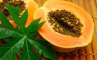 Экзотическая папайя: польза и вред фрукта для организма Папайя содержит вещество которое улучшает